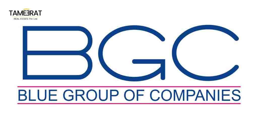 Blue Group of companies